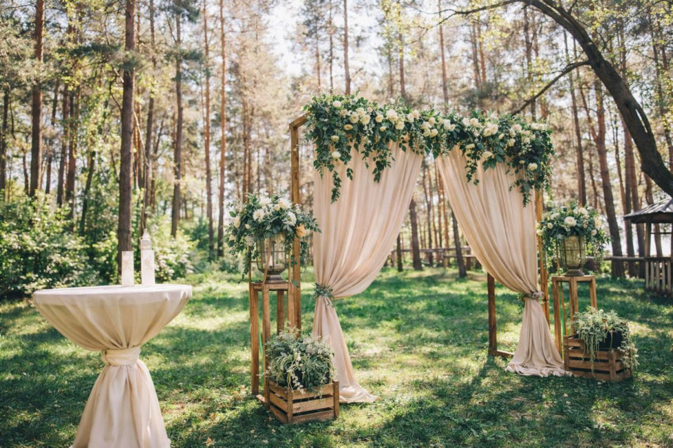 фотозона в сосновом лесу