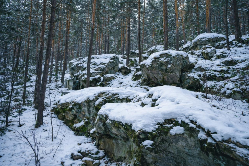Скрипинские Кучуры зимой